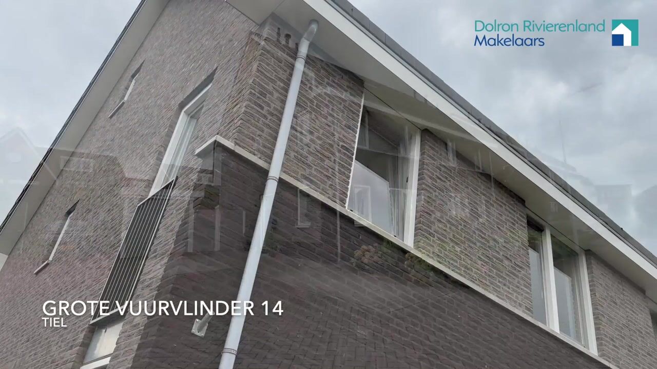 Video van Grote Vuurvlinder 14