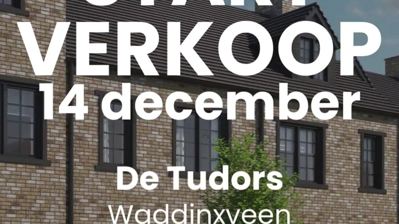 View video of De Tudors