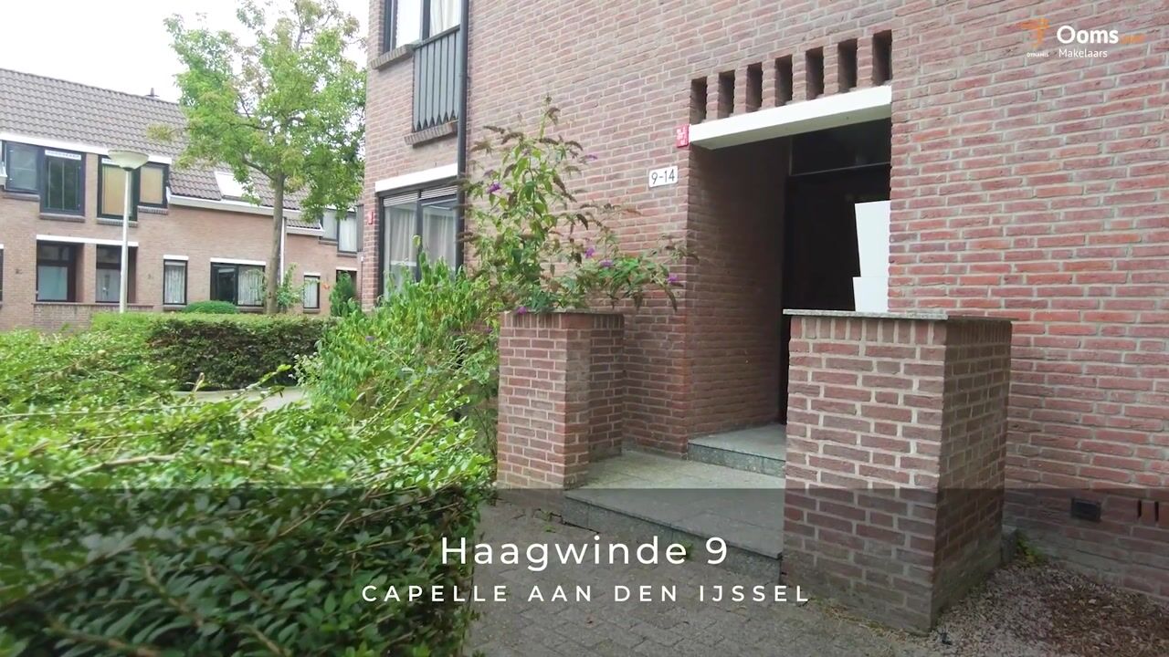 Video of Haagwinde 9