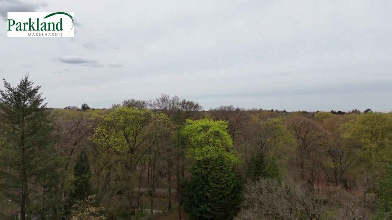 Video van Park Rodichem 17