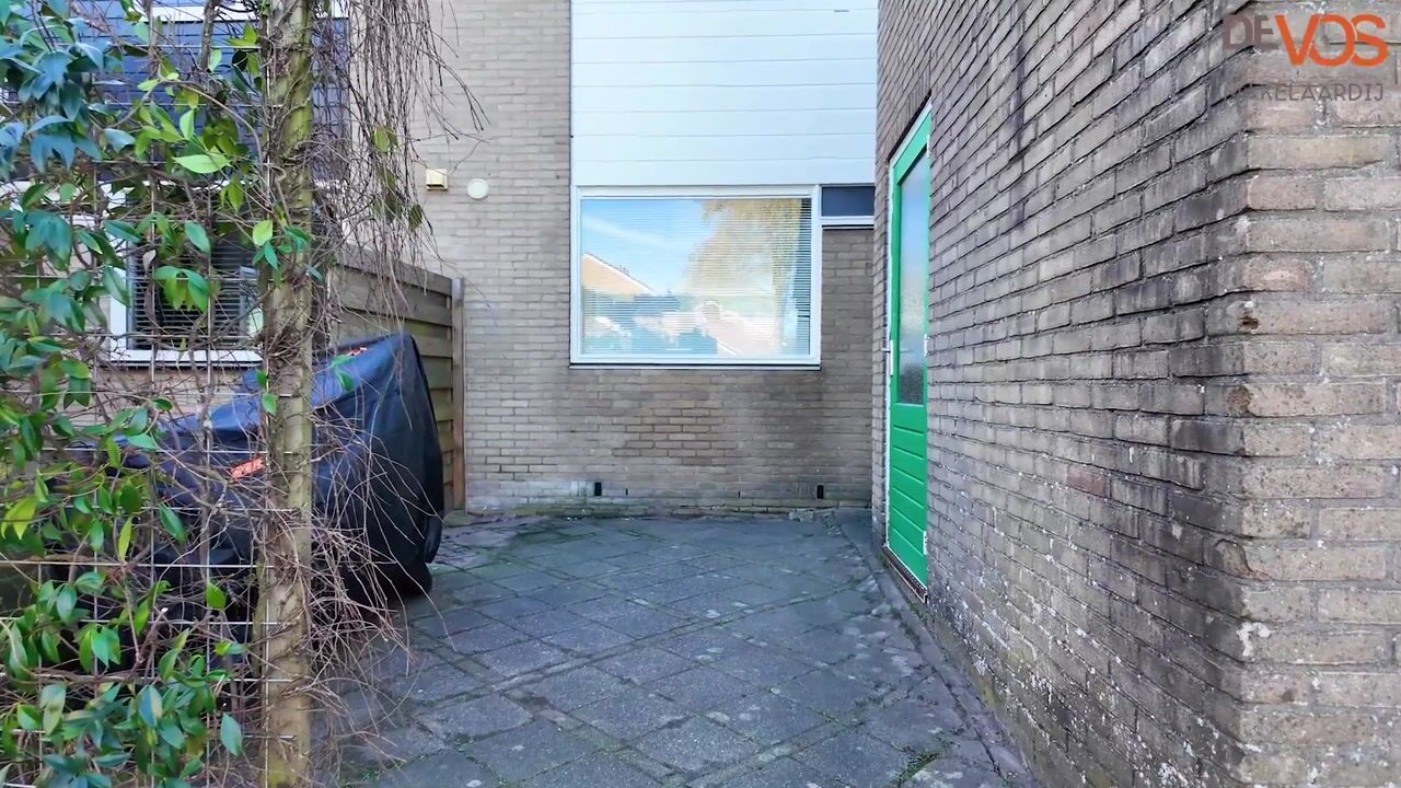 Video van Maagdepalm 4