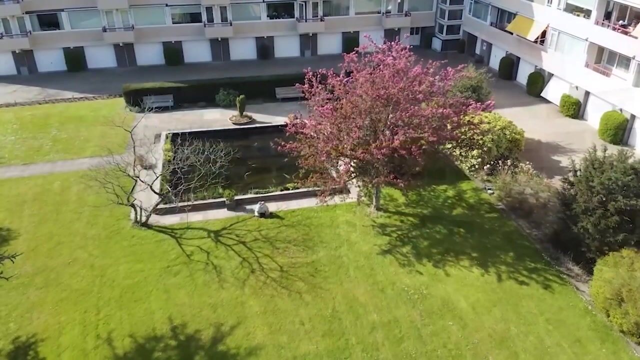 Video van Zandvoorter Allee 252
