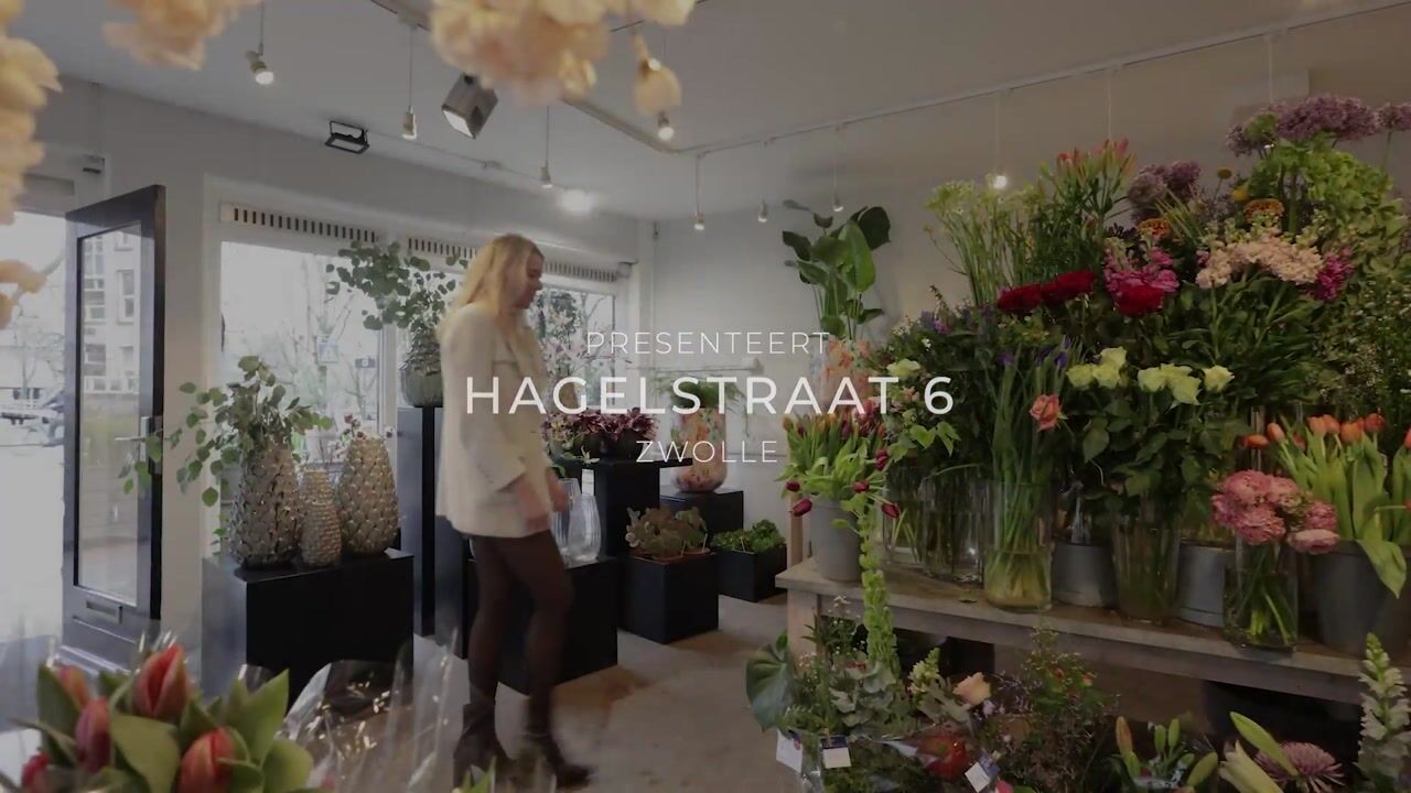 Video van Hagelstraat 6