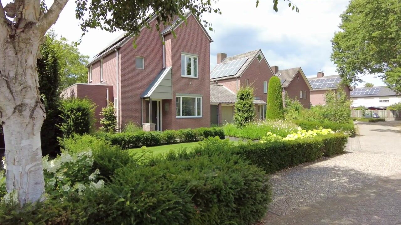 Video van Park 8