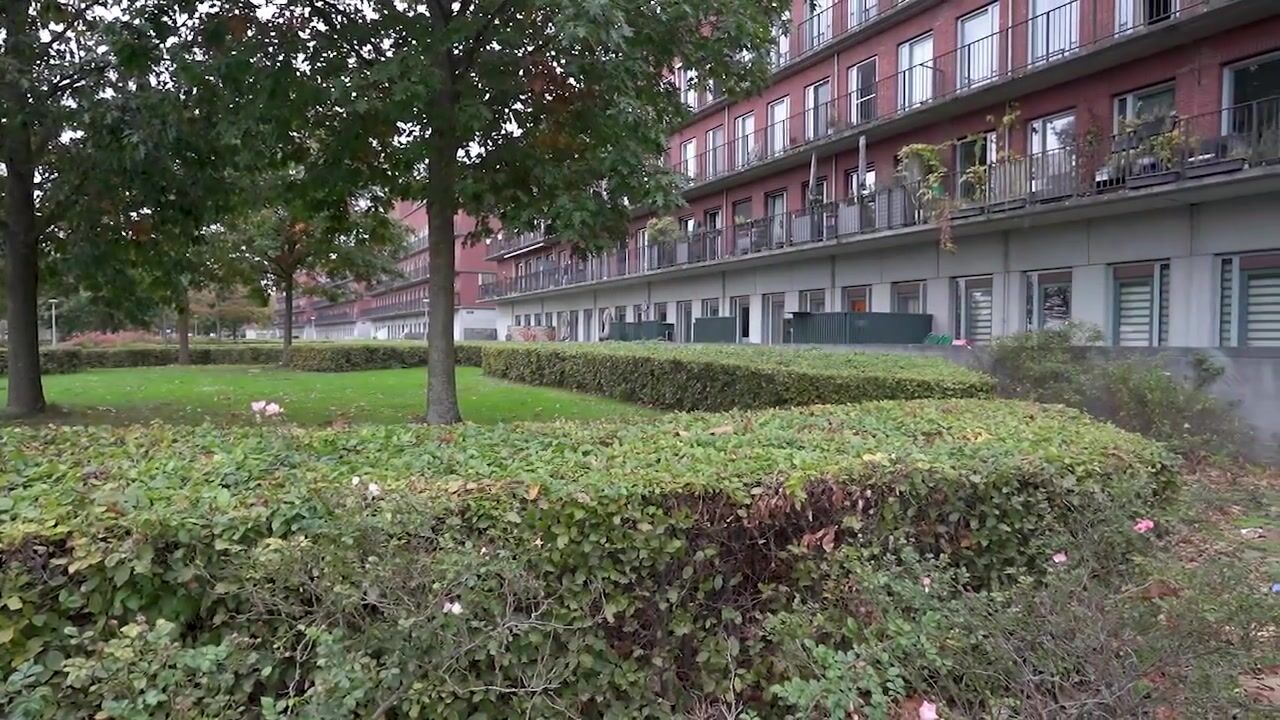 Video van Steentijdsingel 119