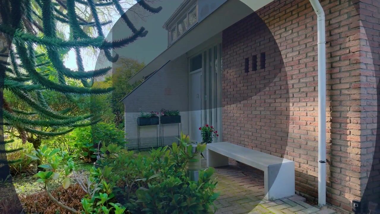 Video van Oosterwijk WZ 50