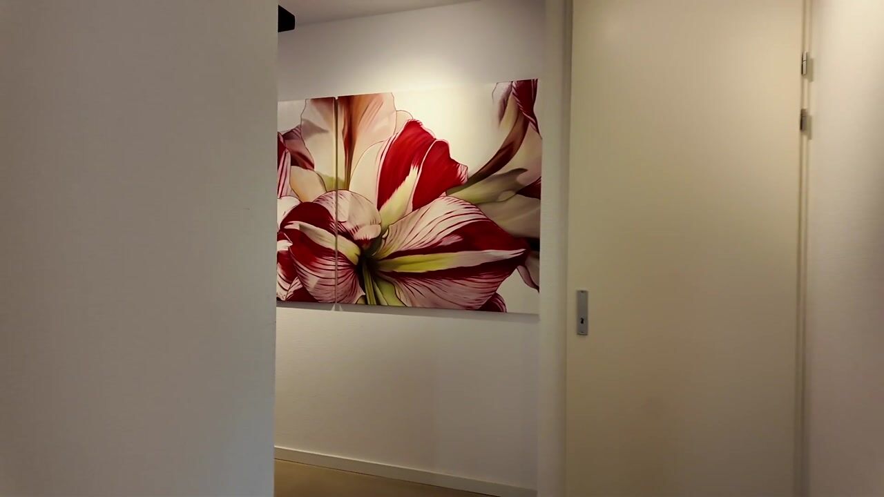 Video van De Gashouder 7