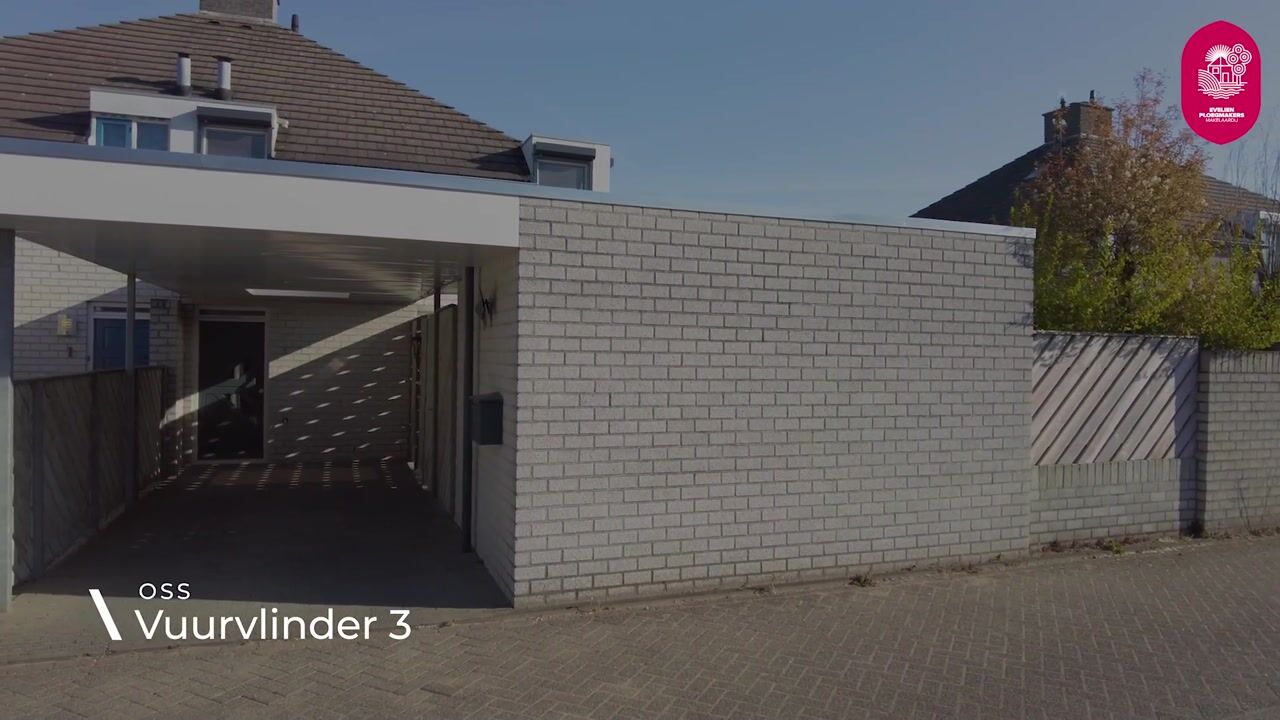 Video of Vuurvlinder 3