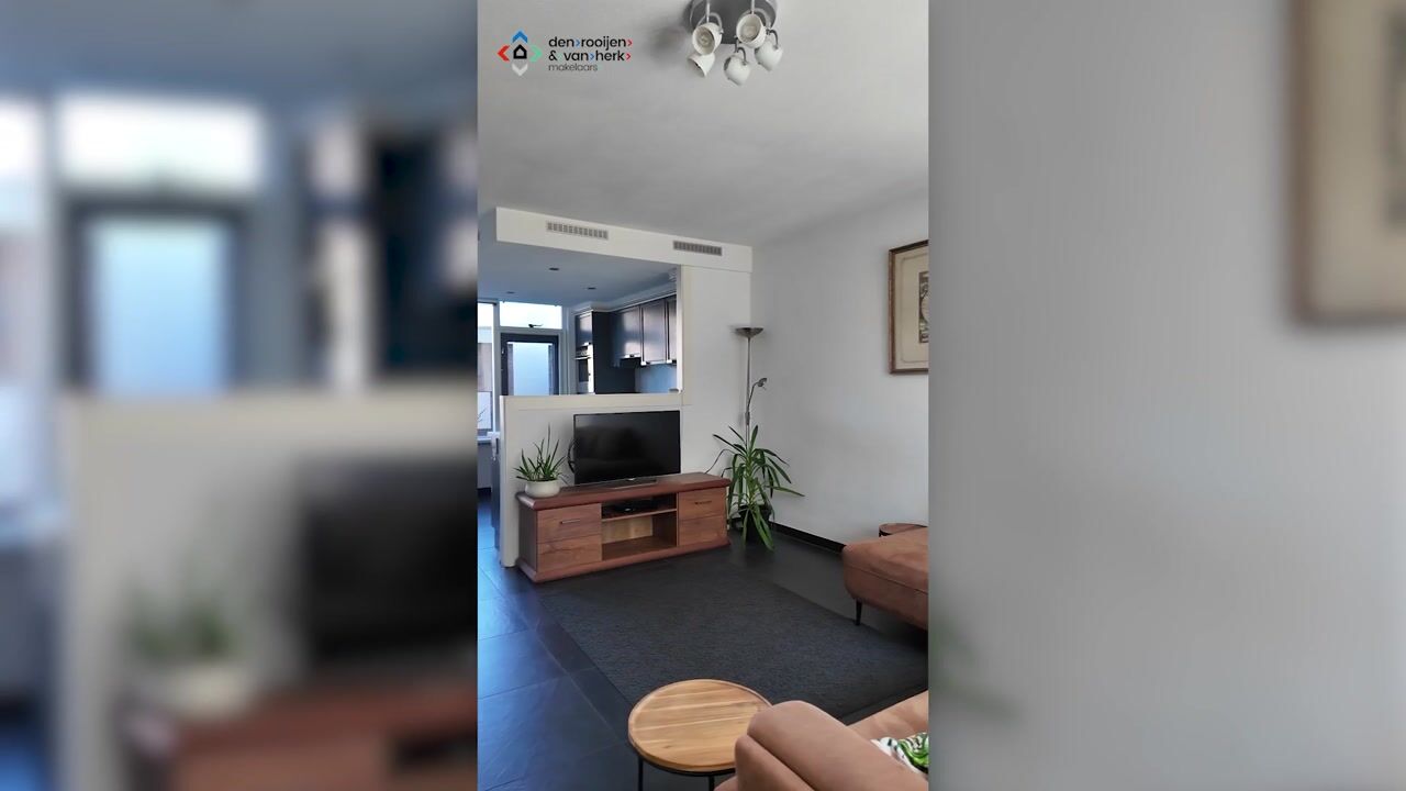 Video of Salamanderveen 372