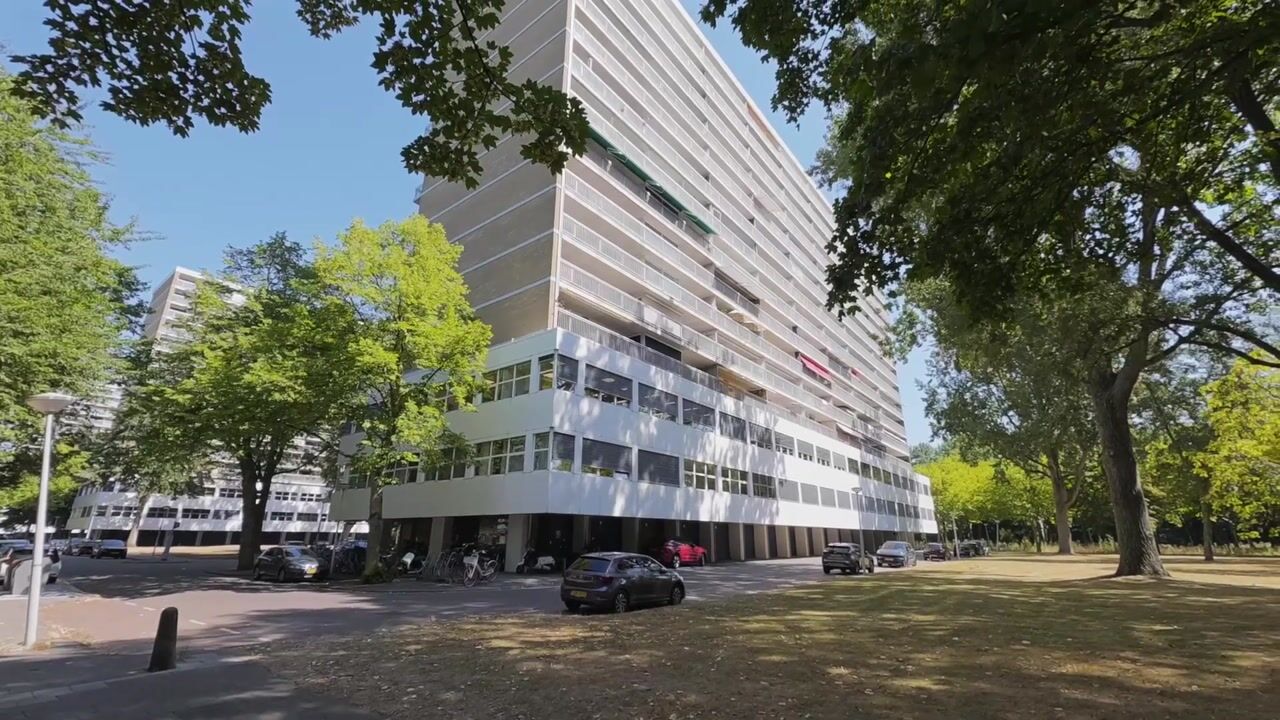 Video van Weerdestein 172