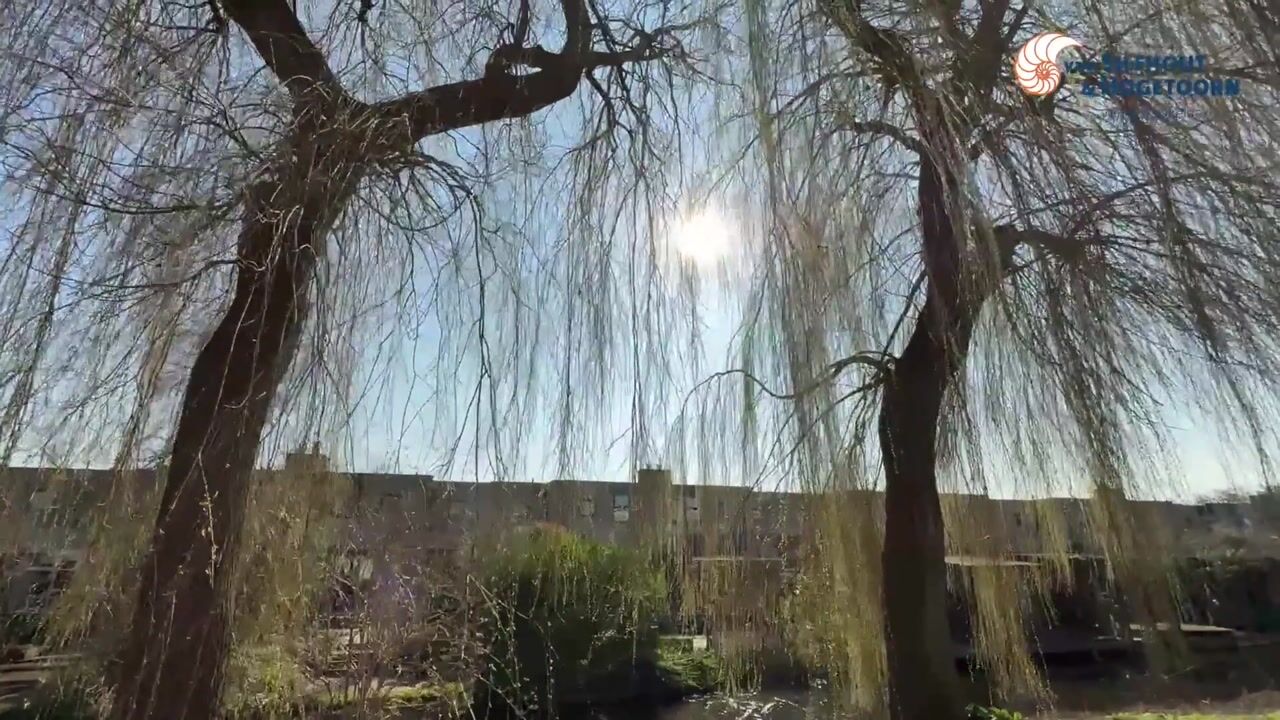 Video van Gabonstraat 41