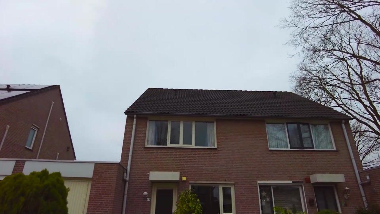 Video van Patrijs 63