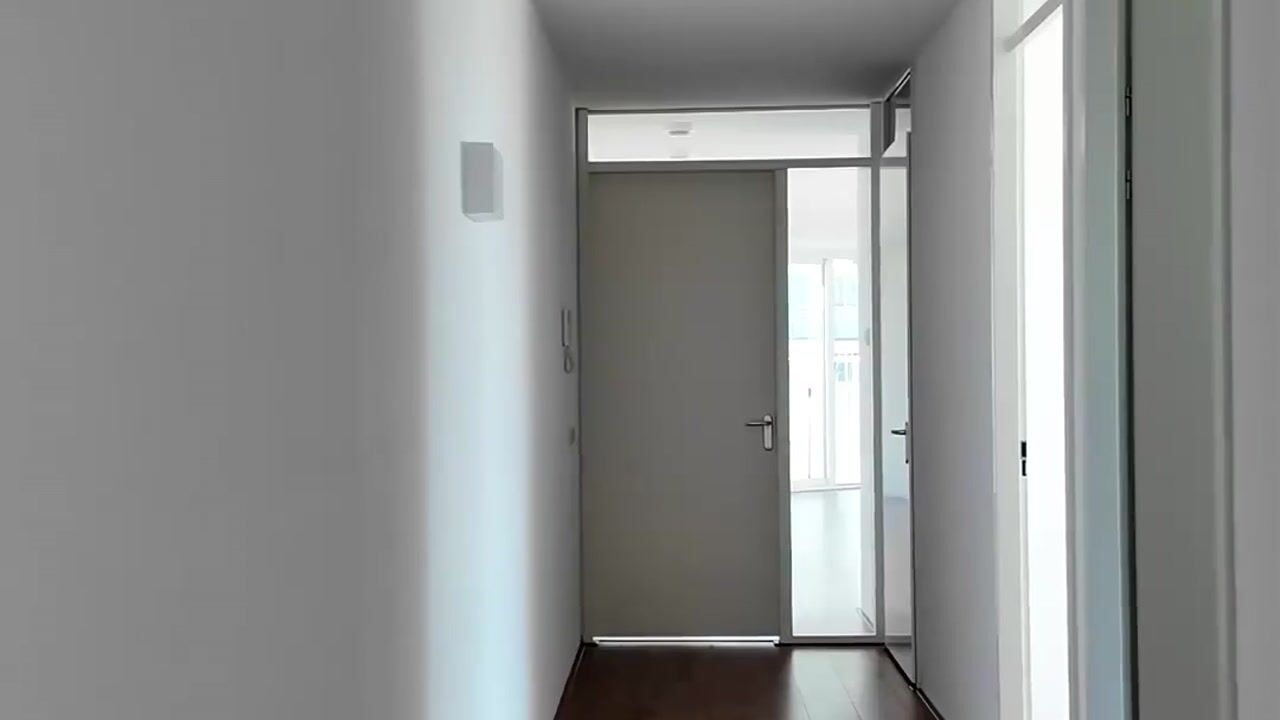 Video van Hongerlandsedijk 698