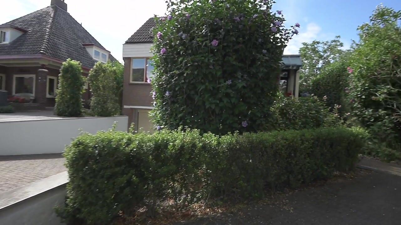 Video van Frisialaan 19