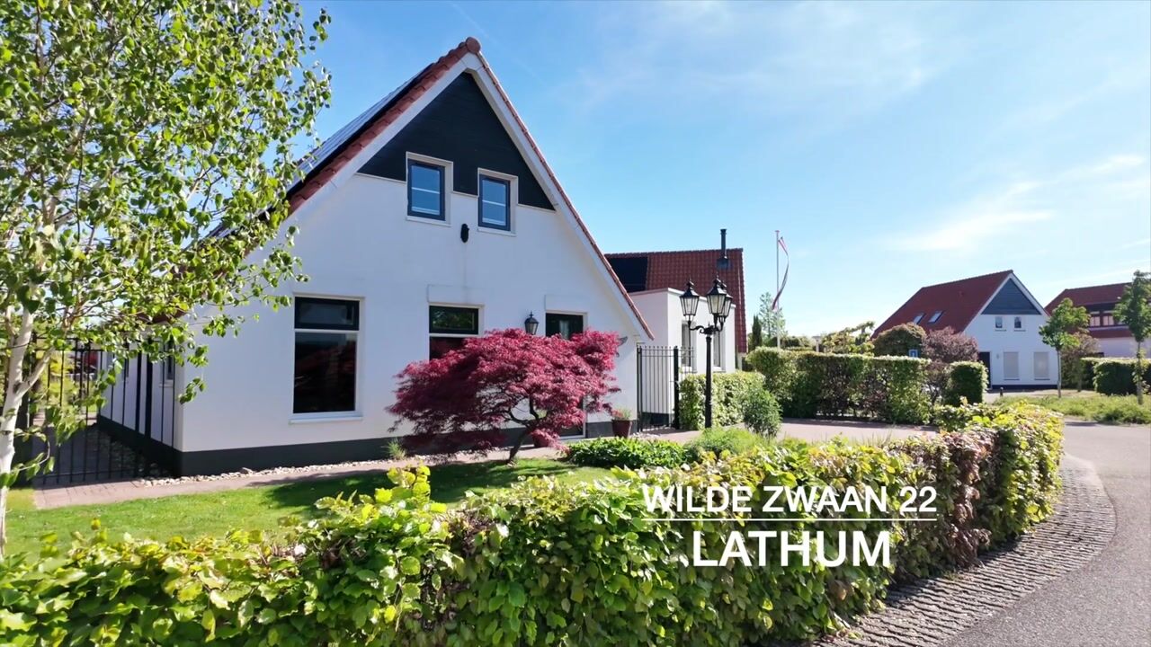 Video of Wilde Zwaan 22