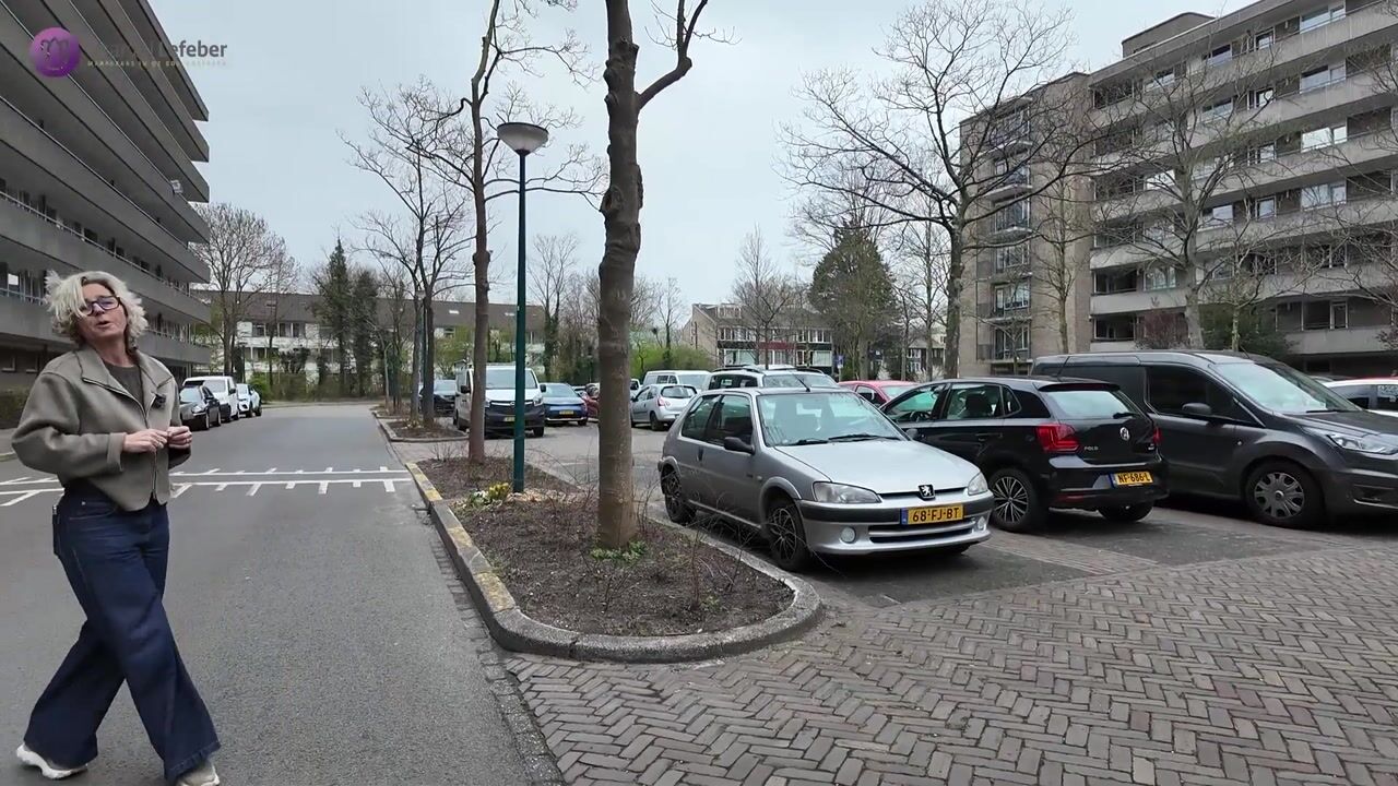 Video of Aert van Neslaan 246