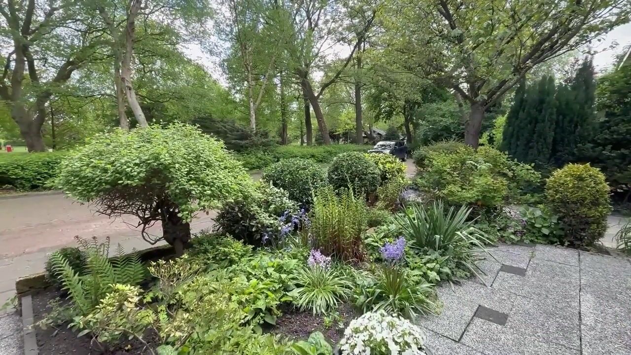 Video van Kogerhout 30