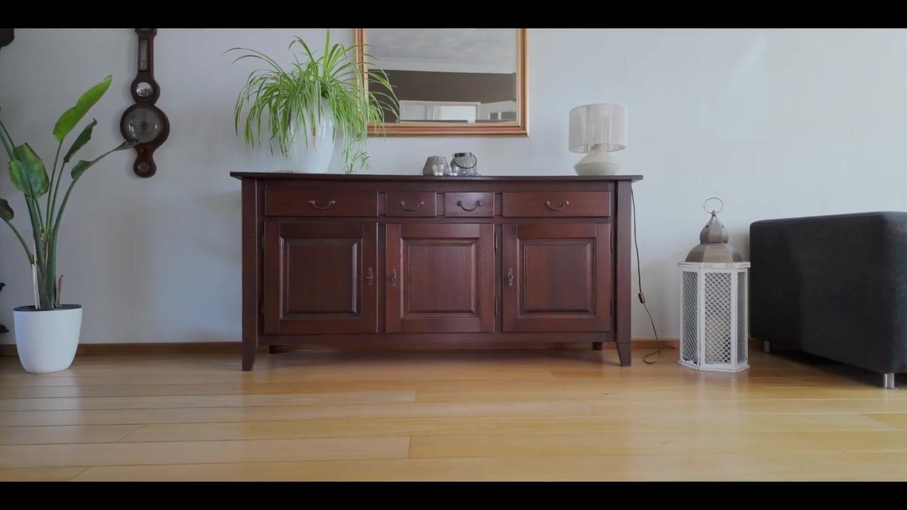 Video van Oeverzwaluw 55