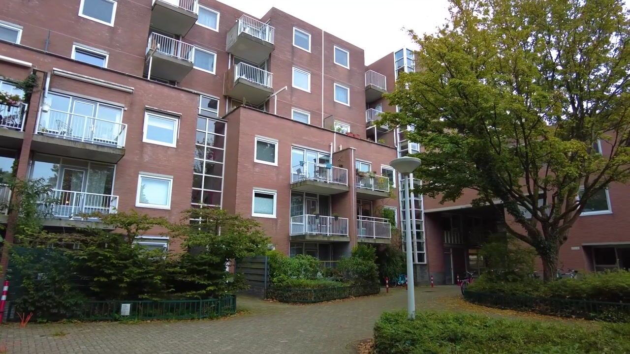 Video van Rupelmonde 83