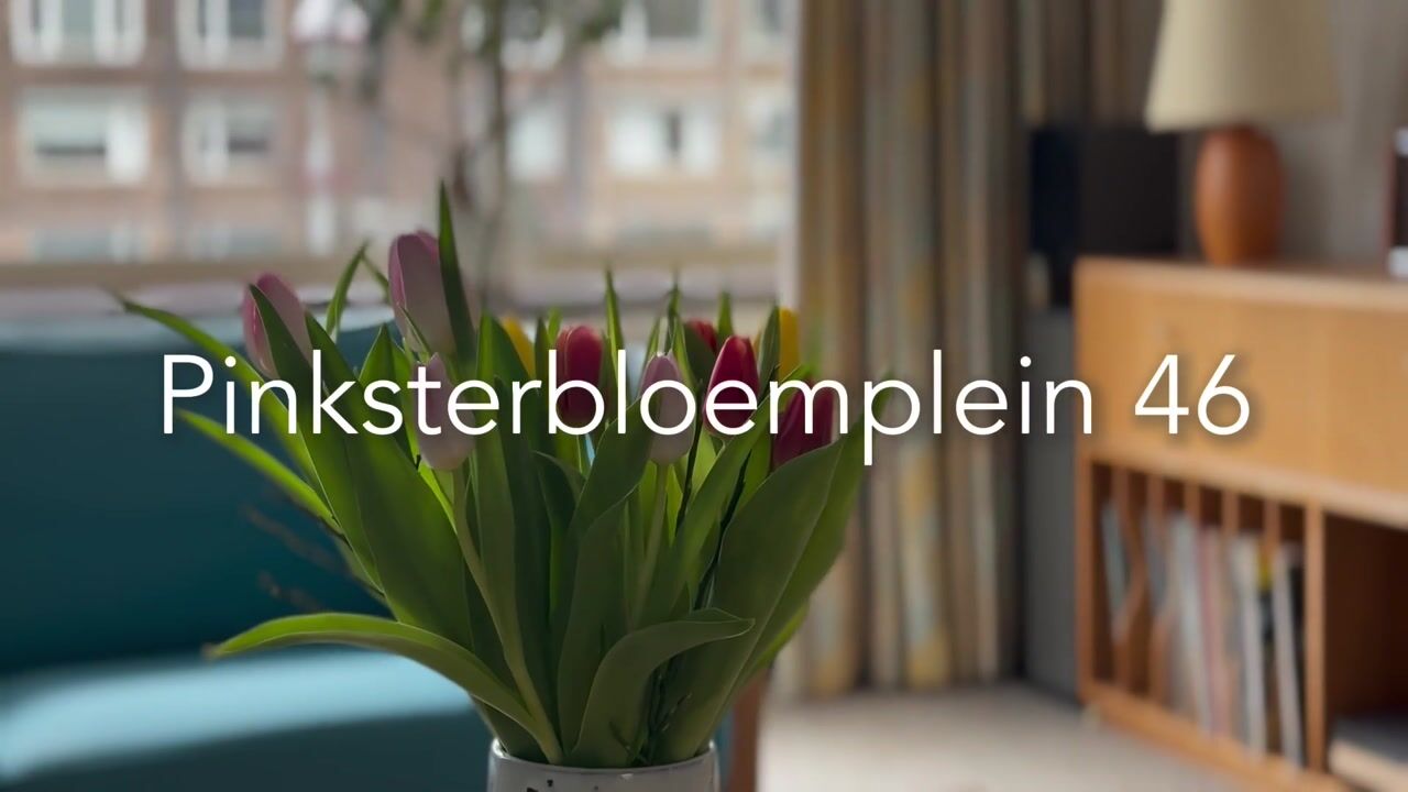 Video van Pinksterbloemplein 46