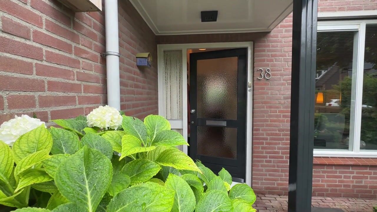 Video van Wolvepad 38