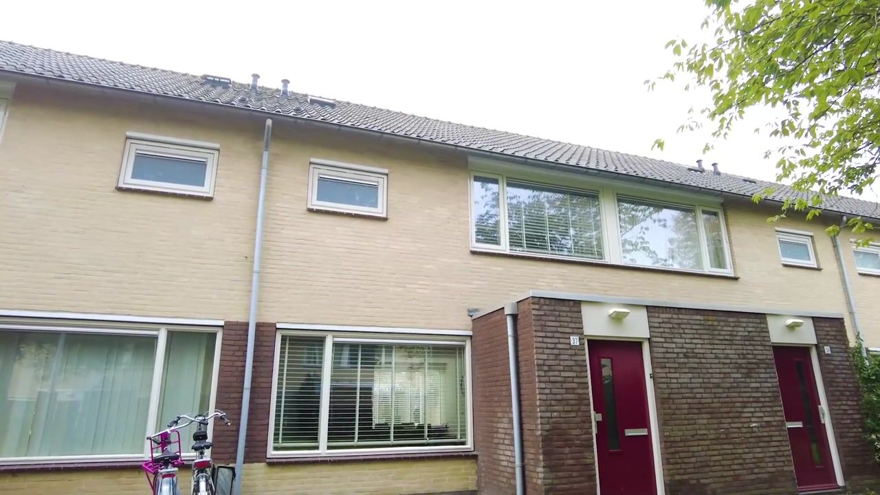Video van Jericholaan 37