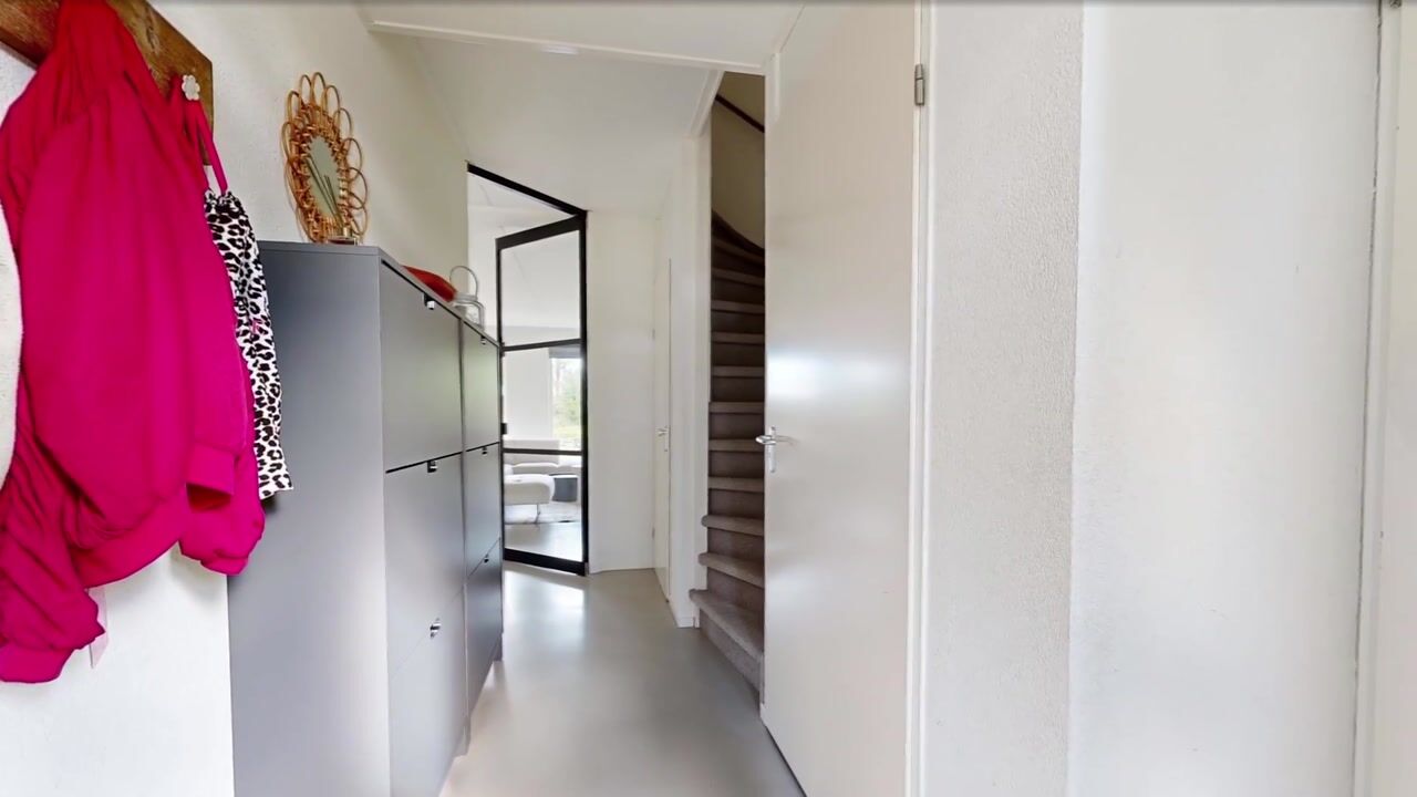Video van Roerdomp 2