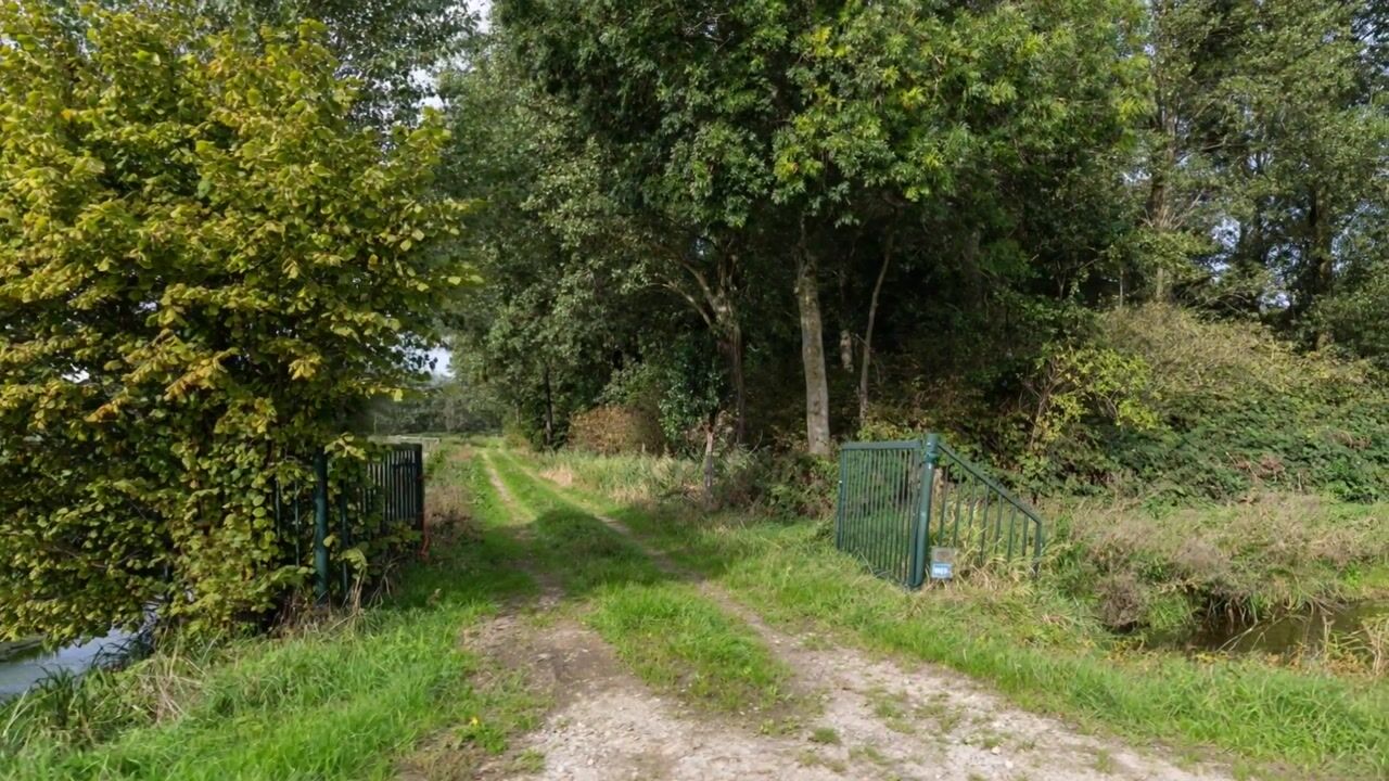 Video of Matenasche Scheidkade 9