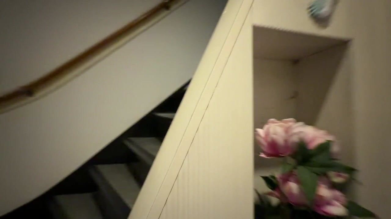 Video of Statenlaan 59