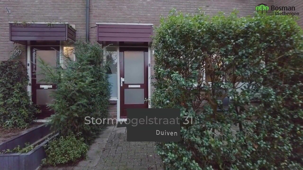 Bekijk video van Stormvogelstraat 31