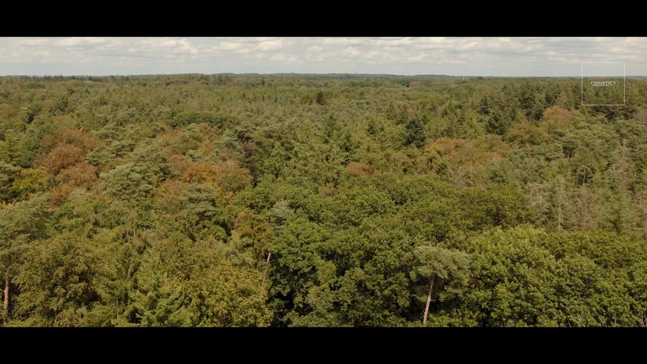 Video van Haagsebosweg 38