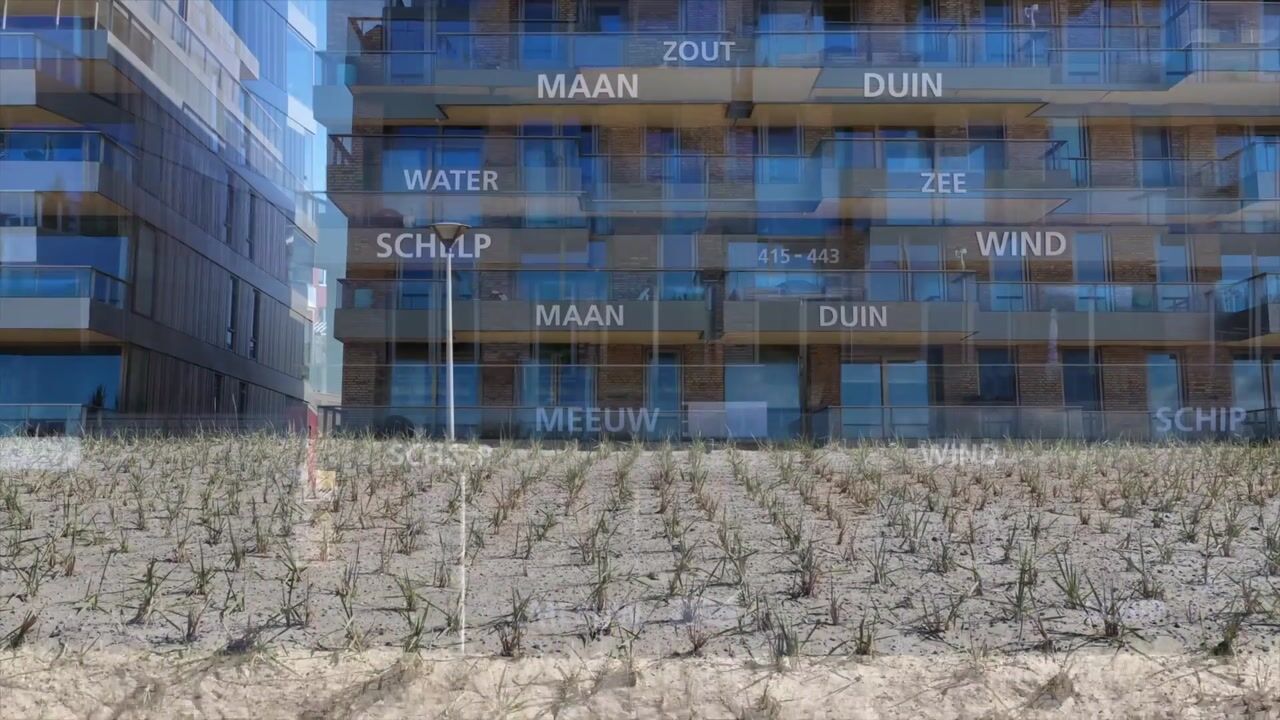 Video van Houtrustweg 419