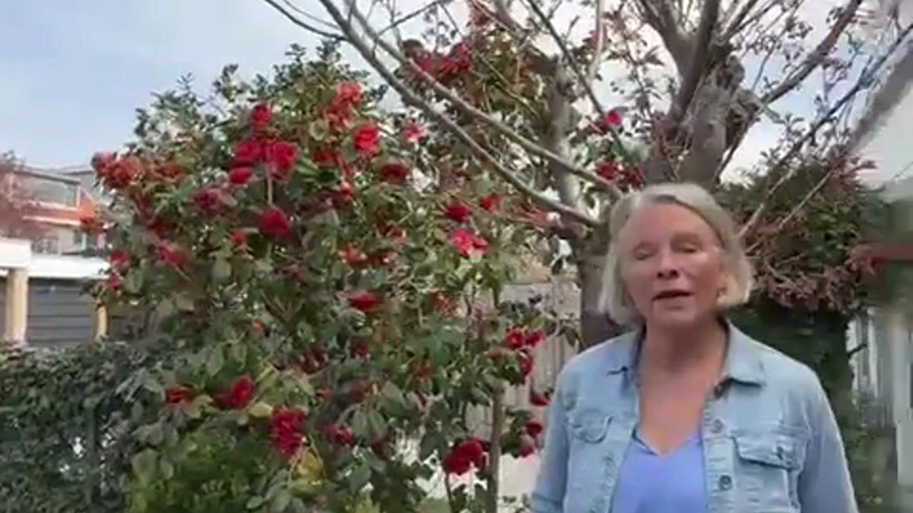 Video van Sportlaan 86