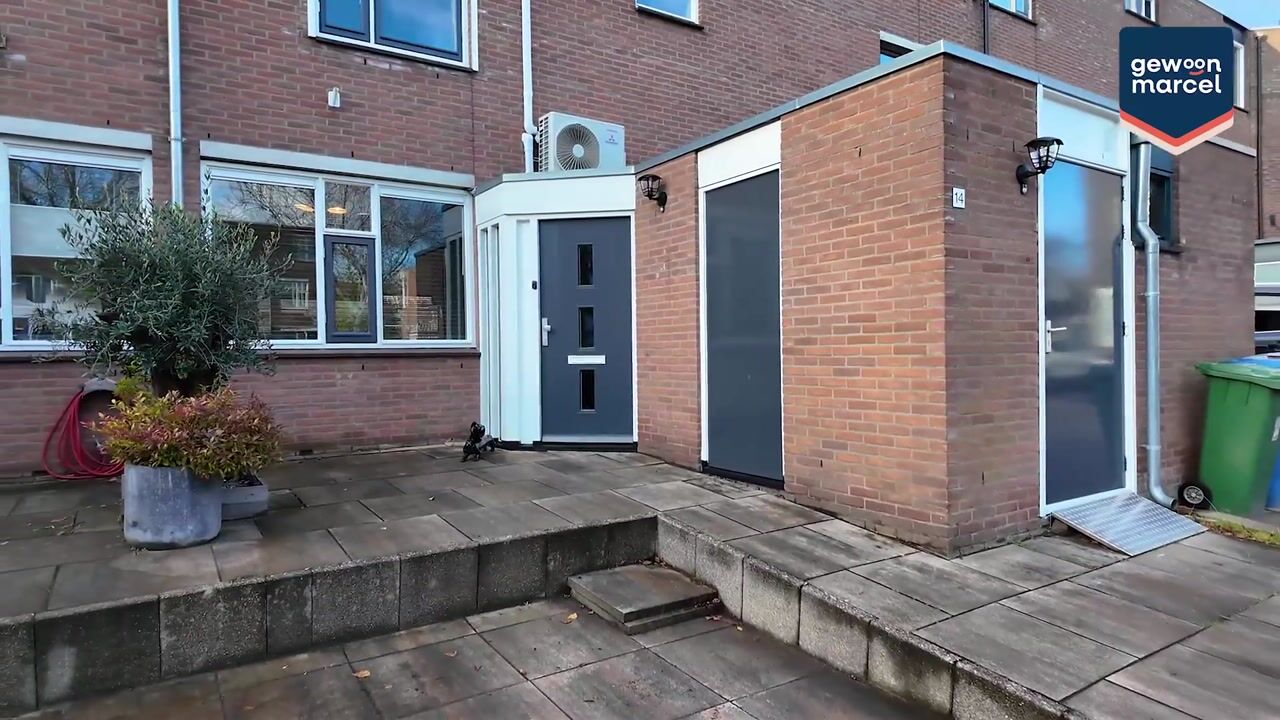 Video van Madeliefweide 14