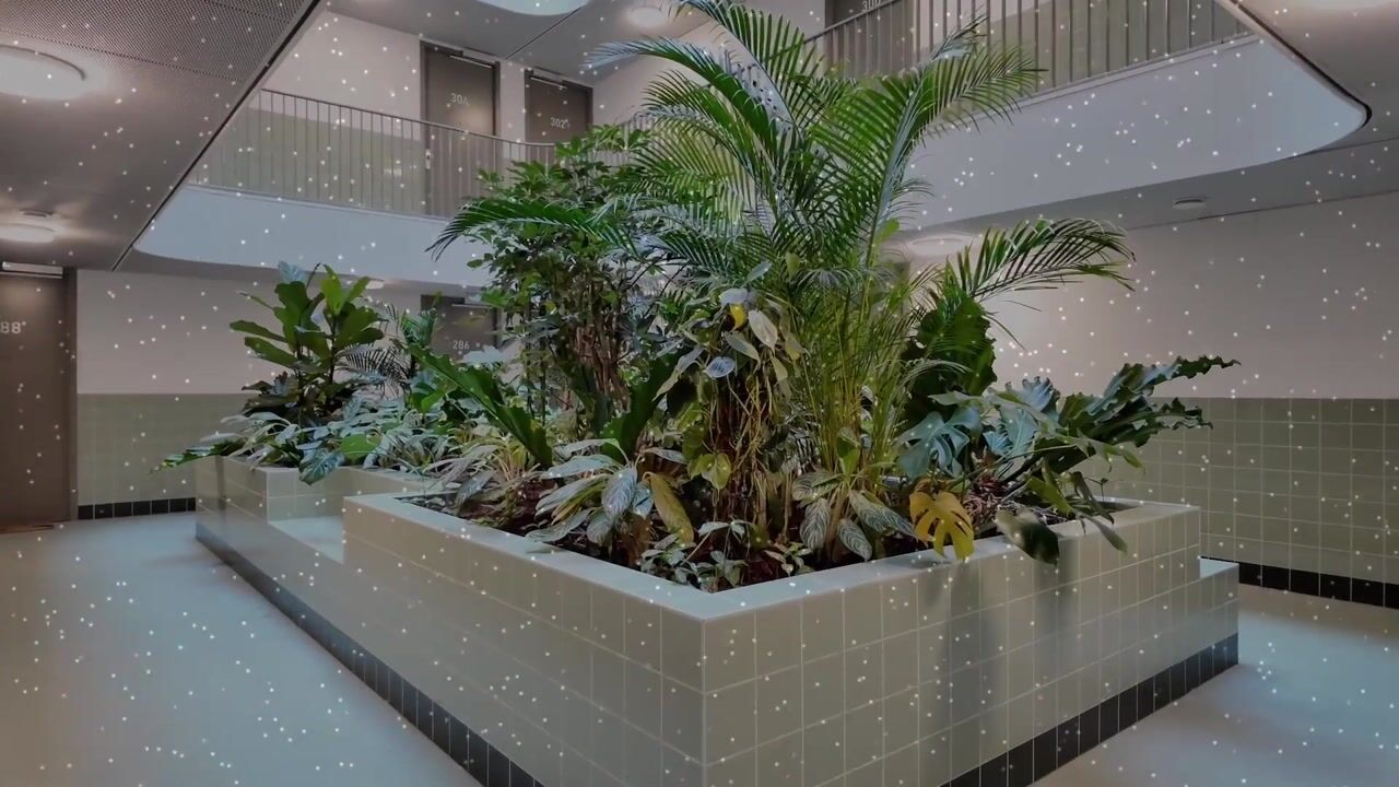 Video van Stelplaats 294