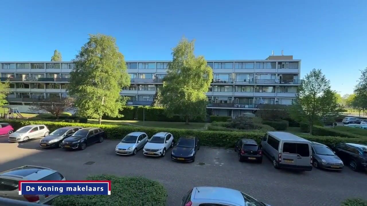 Video van Vliestroom 243