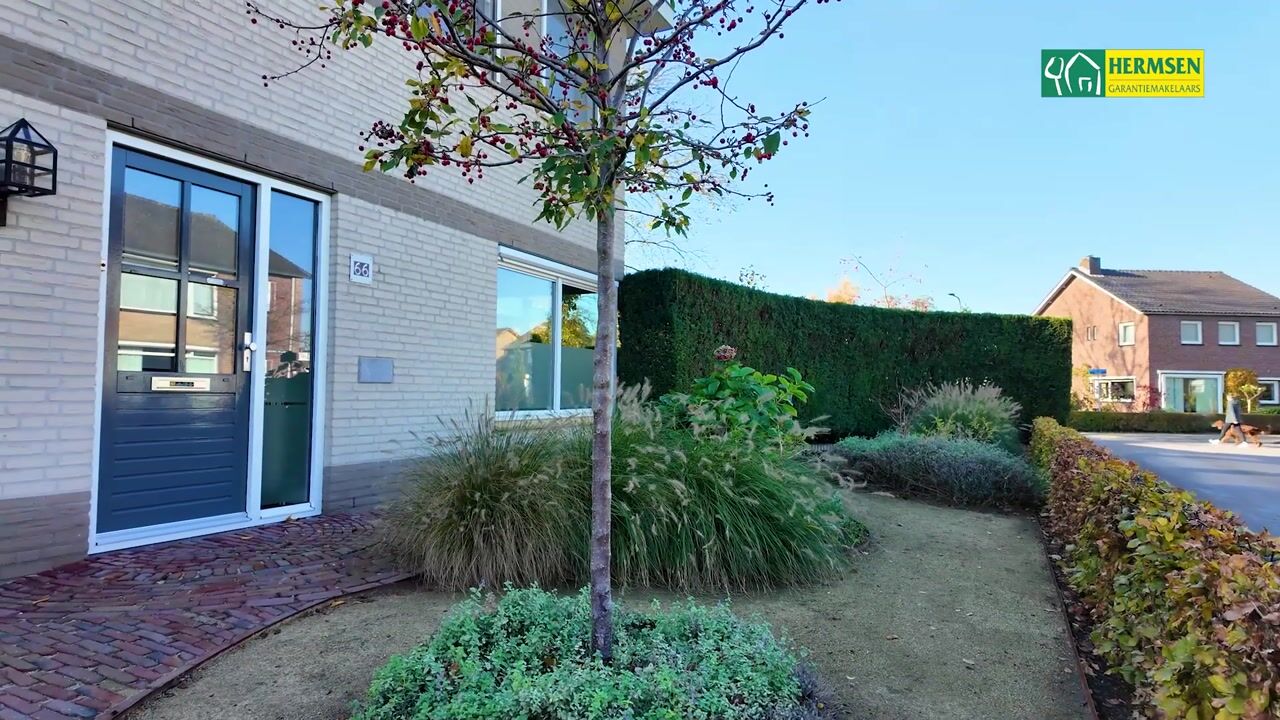 Video van Willem Jansenstraat 66