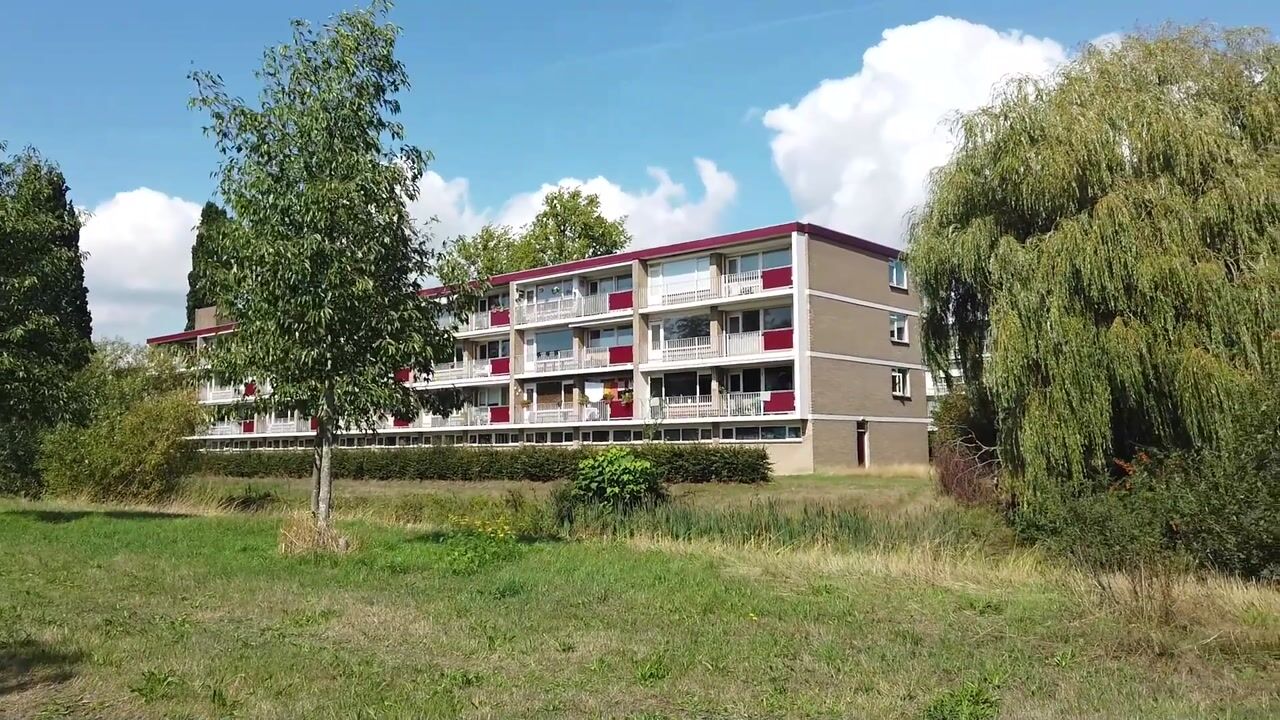 Video van Malvert 6283