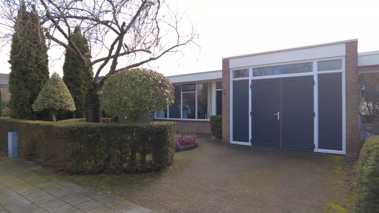 Video van Borg Piloursema 7