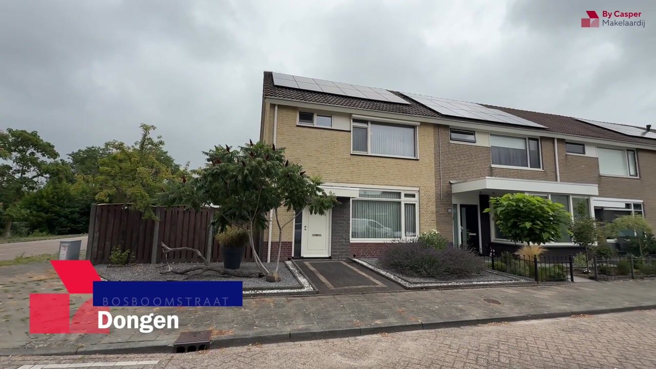 Video van Bosboomstraat 20