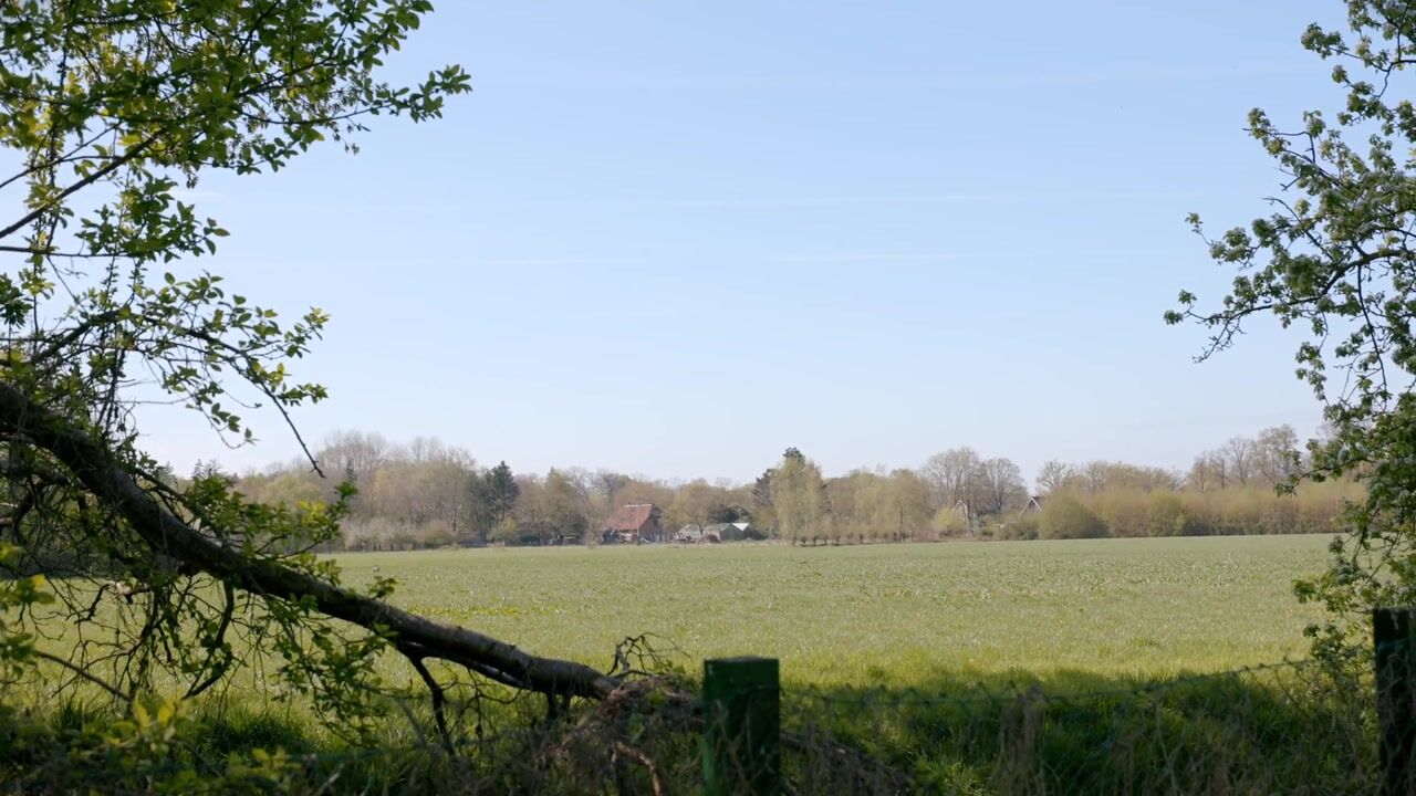 Video van Rijksstraatweg 29