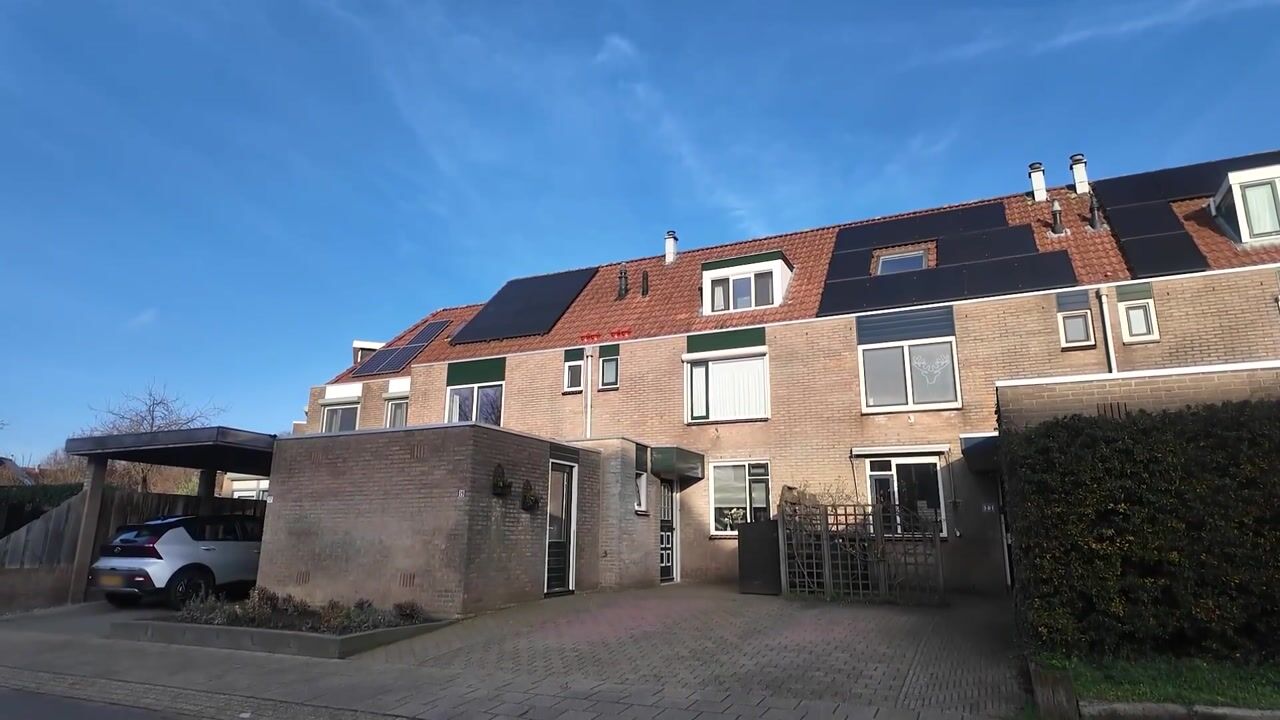 Video van Wildzoom 19