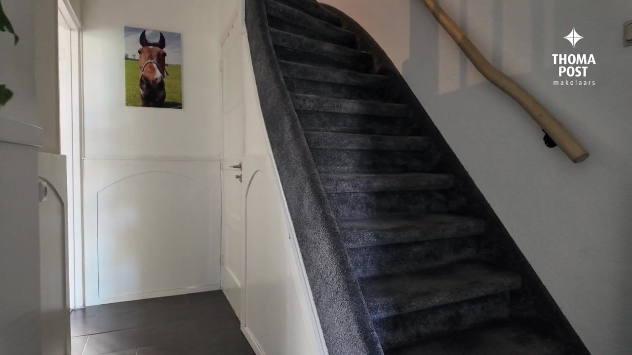 Video van Zwanebloemstraat 4