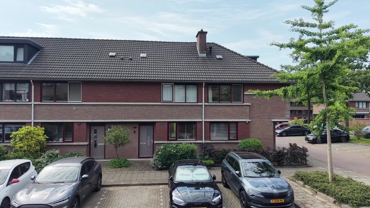 Video van Wengéhout 3