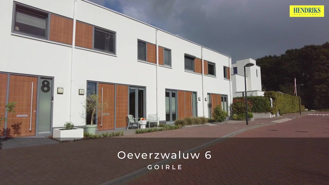 Video van Oeverzwaluw 6