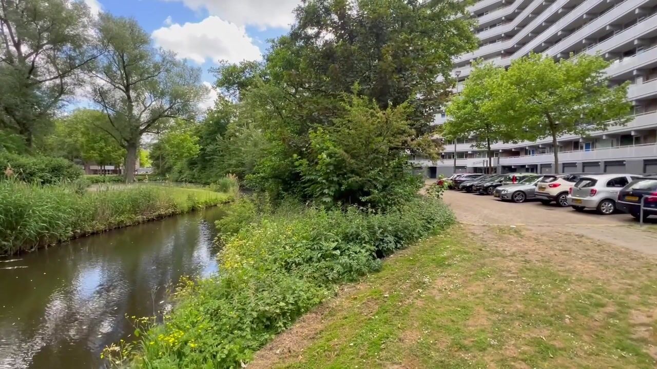 Video van Griegplein 67