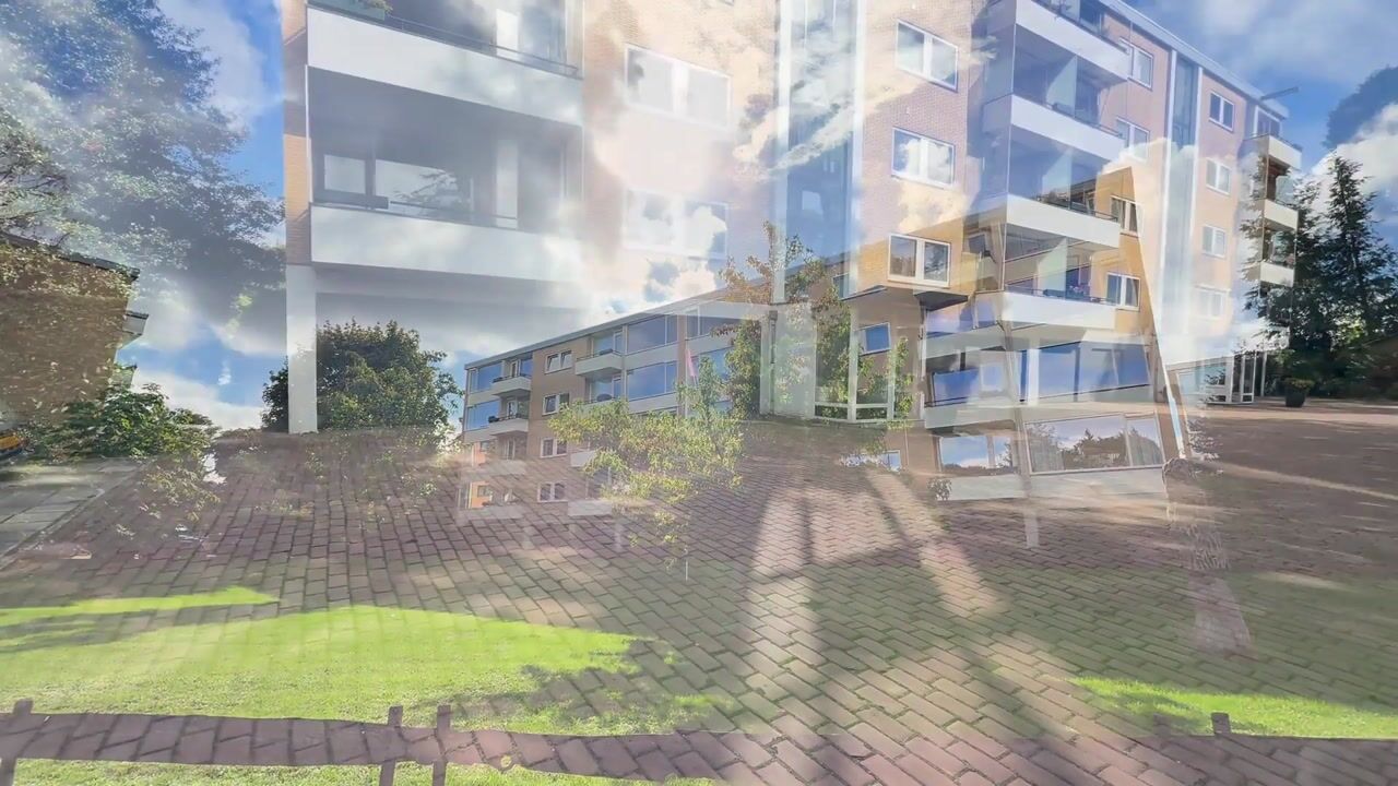 Video van Merelhof 45