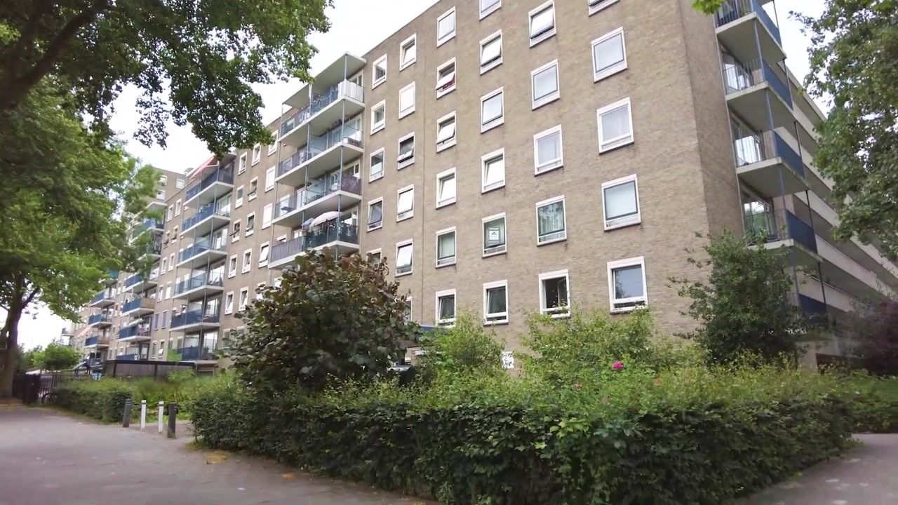 Video of Aert van Neslaan 206