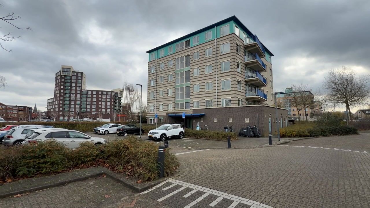 Video of Lavendelveld 12