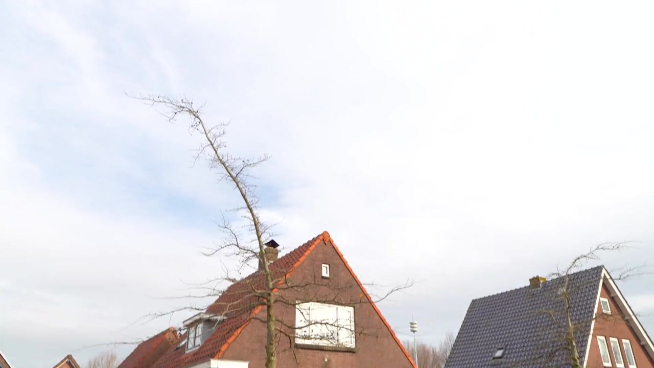 Video of Kastanjelaan 18